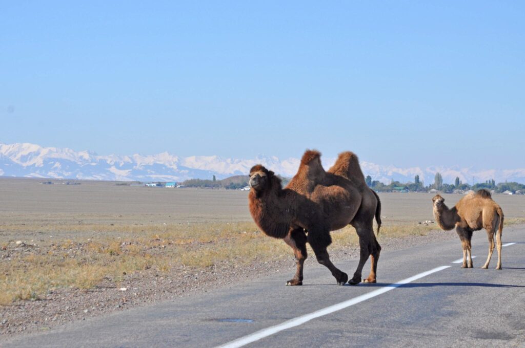 kazakhstan, country