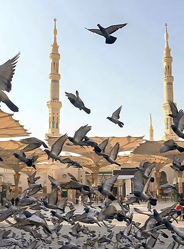 masjidnabawi1